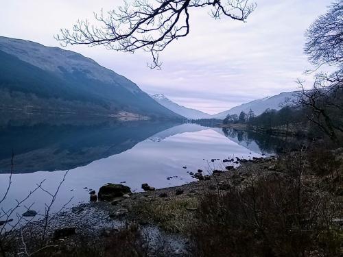 IMG 20190406 073342 2