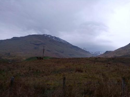 IMG 20190406 082526 9