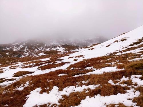 IMG 20190406 124602 6