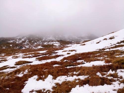 IMG 20190406 124602 9