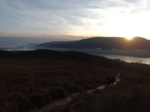 IMG 20201107 155242 316