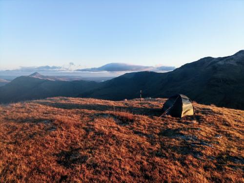 IMG 20211121 1536552